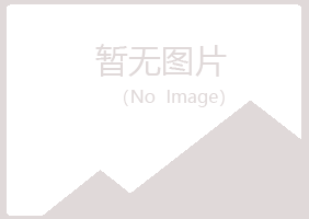 重庆江北冰夏化学有限公司